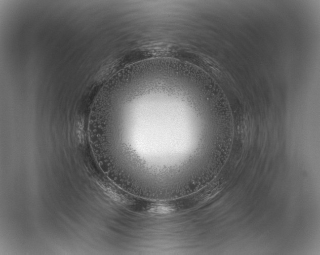 X0000056020610200508191329