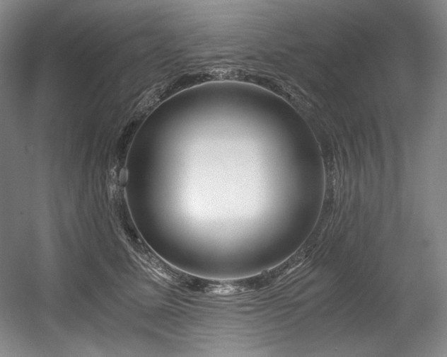 X0000056020611200508191329
