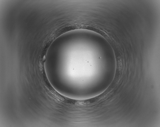 X0000056020613200508191329