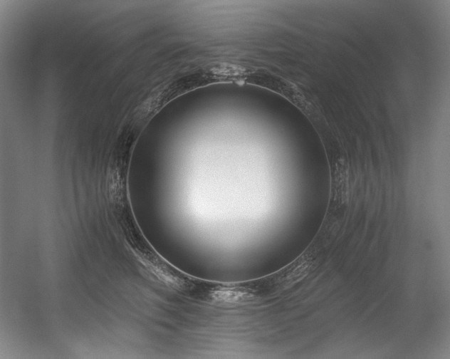 X0000056020614200508191329