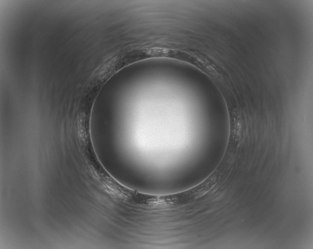 X0000056020616200508191329