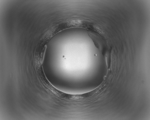 X0000056020617200508191329
