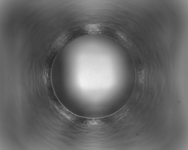 X0000056020618200508191329