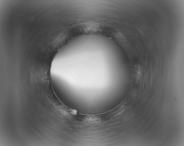 X0000056020619200508191329