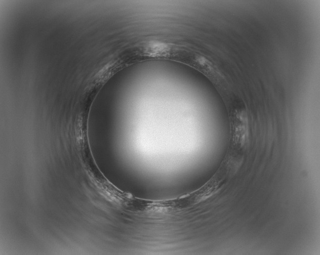 X0000056020620200508191329