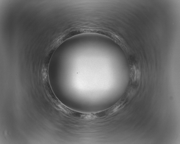 X0000056020621200508191329