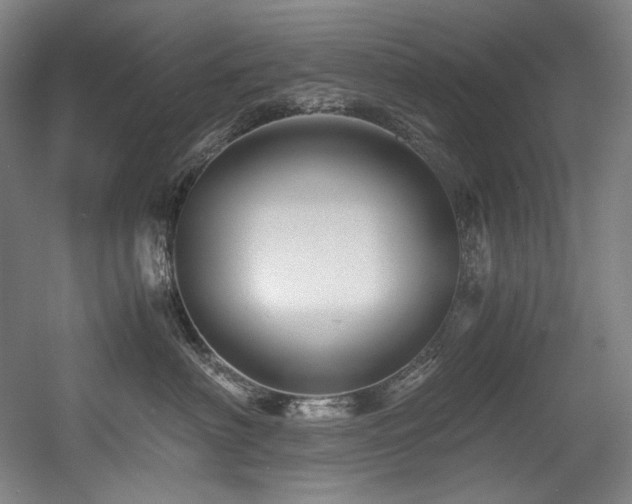 X0000056020622200508191329