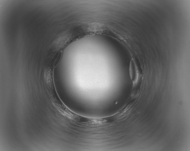 X0000056020623200508191329