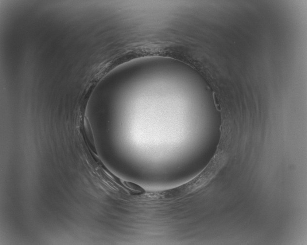 X0000056020624200508191329