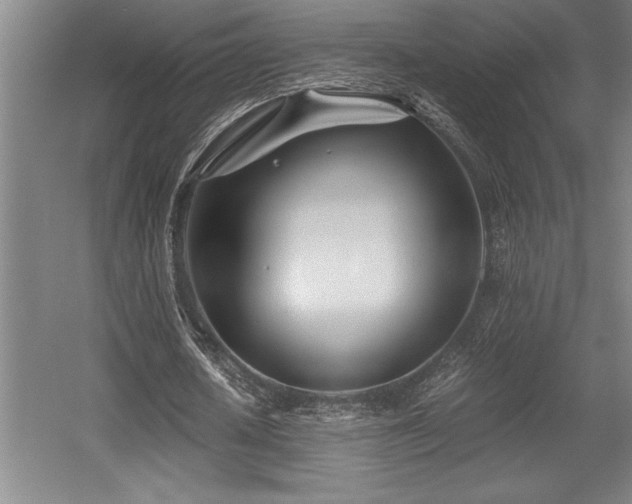 X0000056020626200508191328