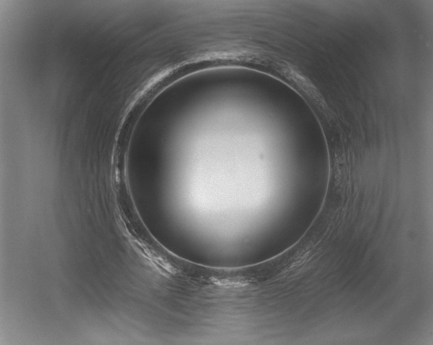 X0000056020628200508191328