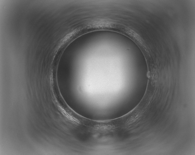 X0000056020629200508191328