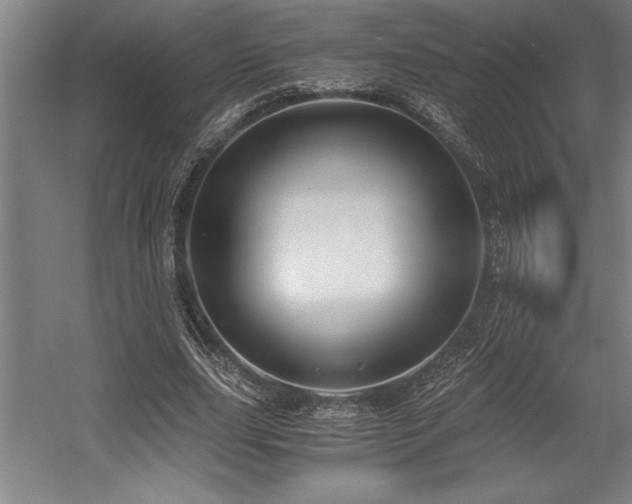 X0000056020631200508191328