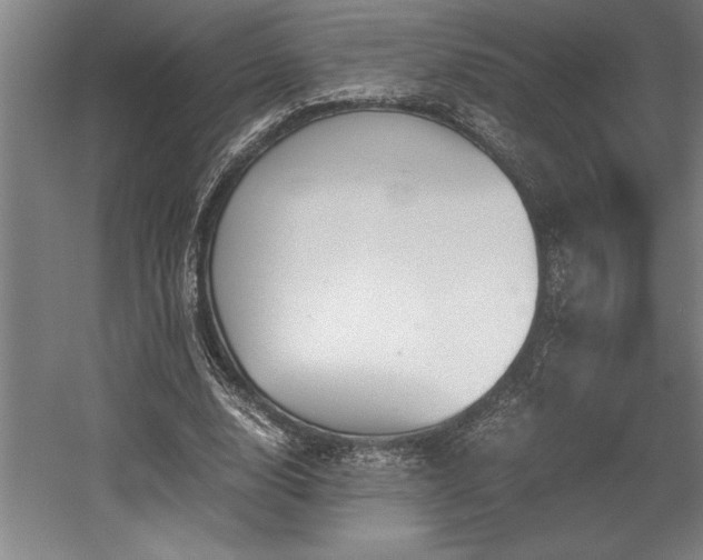 X0000056020632200508191328