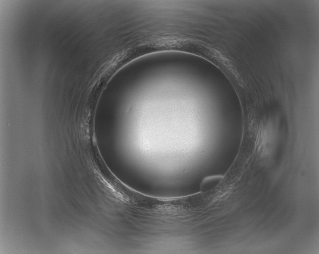 X0000056020633200508191328