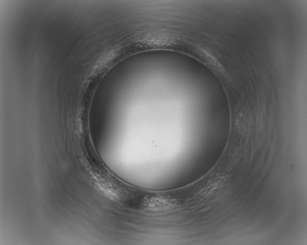 X0000056020635200508191328