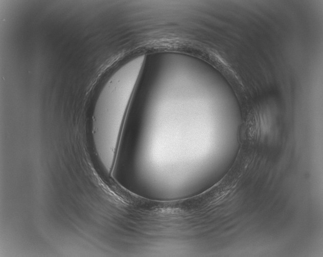 X0000056020637200508191328
