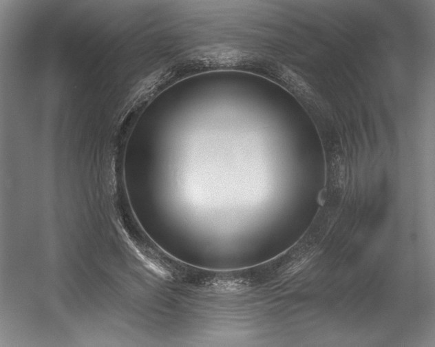 X0000056020638200508191328