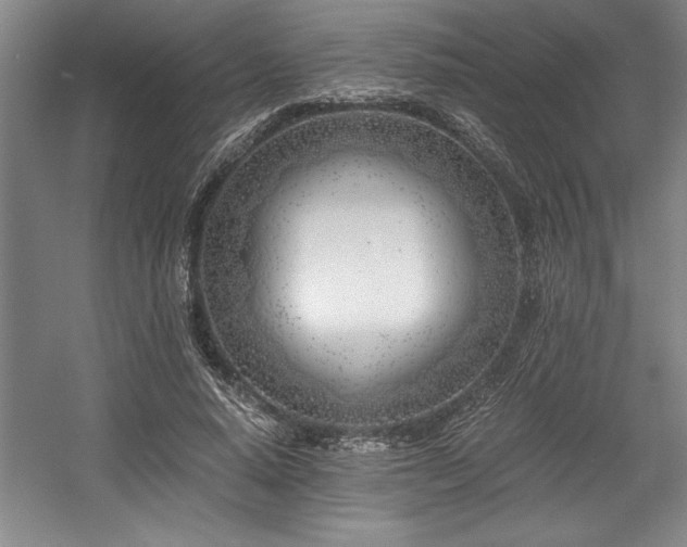 X0000056020640200508191328