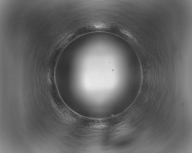 X0000056020643200508191329