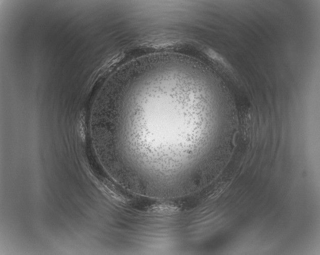 X0000056020644200508191329