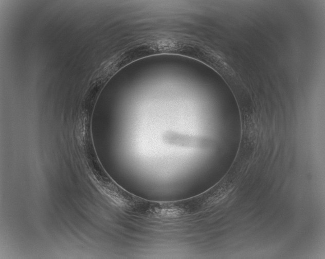 X0000056020645200508191329