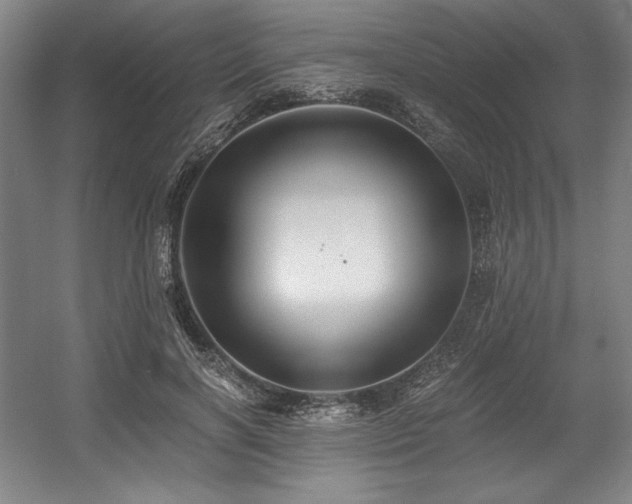 X0000056020646200508191329