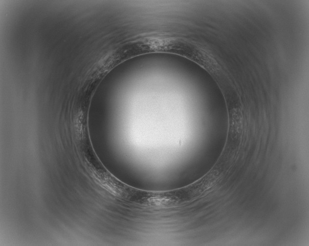 X0000056020650200508191329