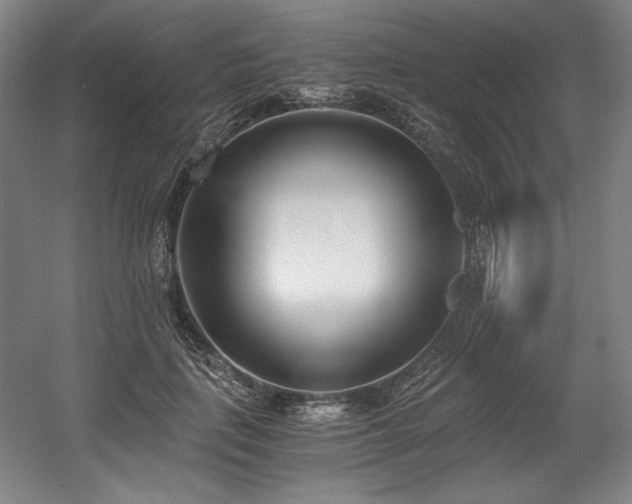 X0000056020651200508191329