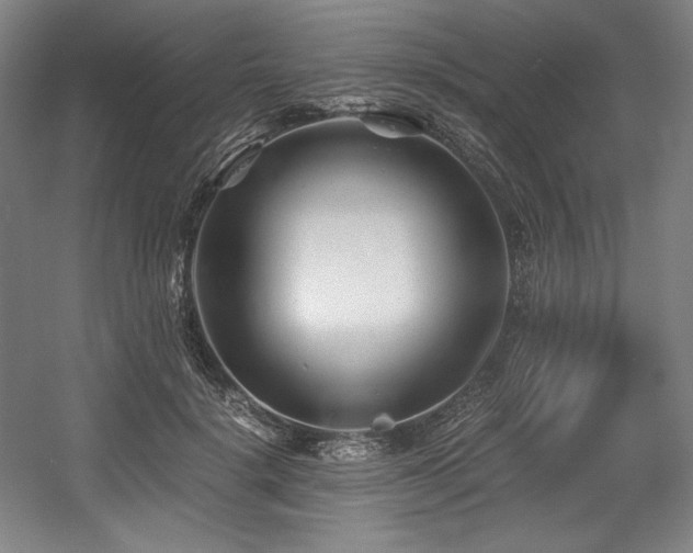 X0000056020652200508191329