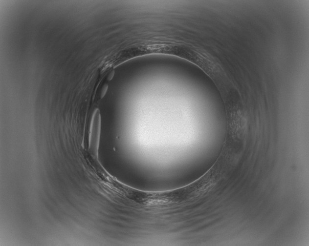 X0000056020653200508191329