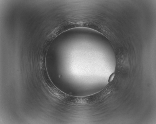 X0000056020656200508191329