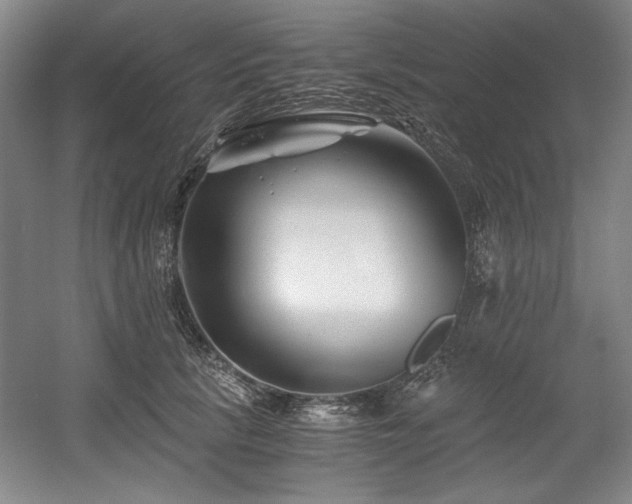 X0000056020657200508191329