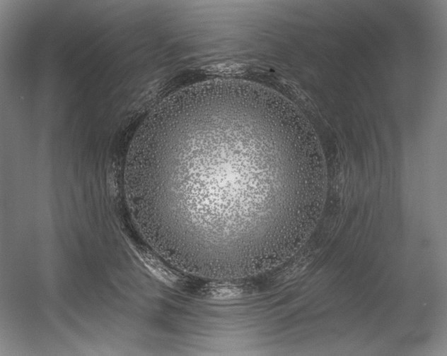 X0000056020658200508191329