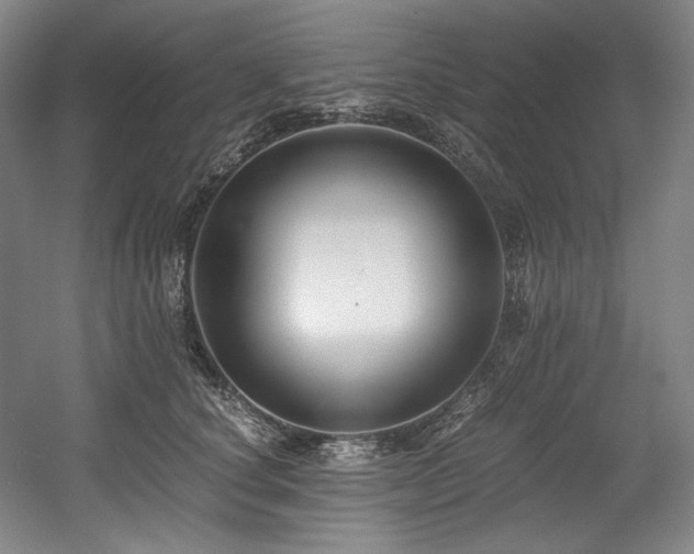 X0000056020660200508191329