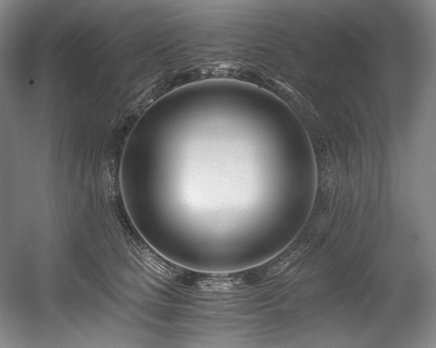 X0000056020661200508191329