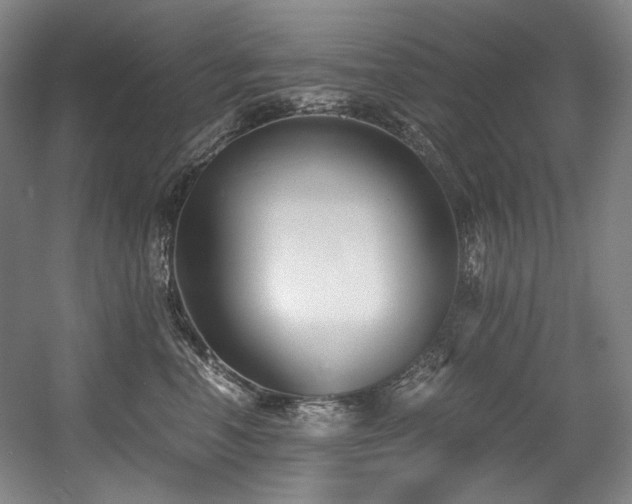 X0000056020666200508191329