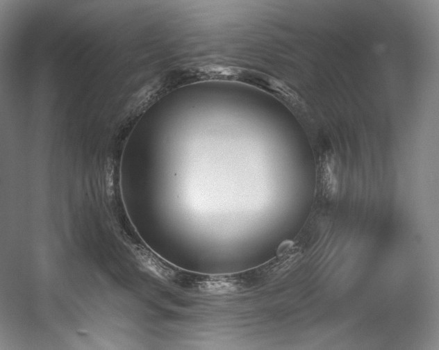X0000056020668200508191329
