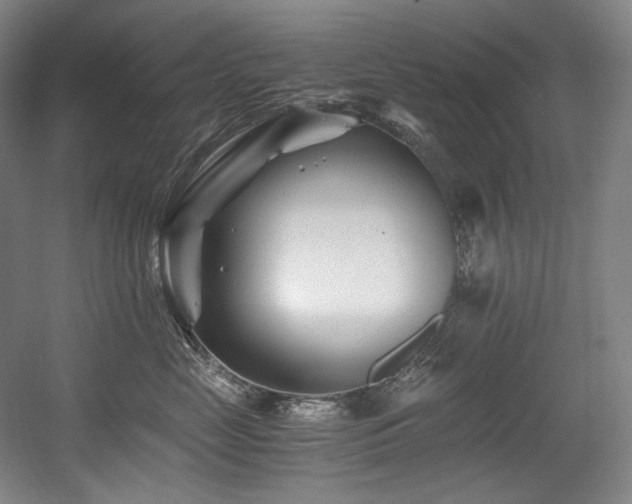 X0000056020669200508191329
