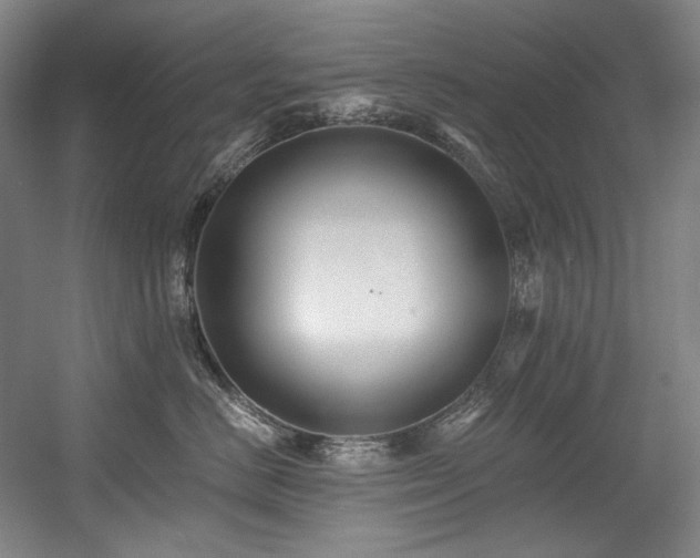 X0000056020670200508191329