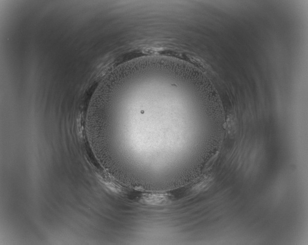 X0000056020671200508191329