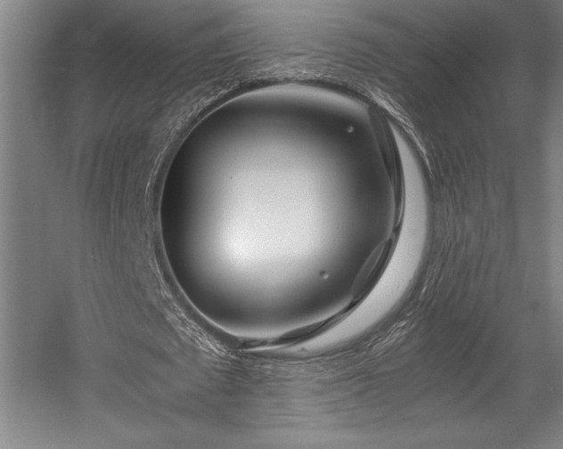 X0000056020673200508191328