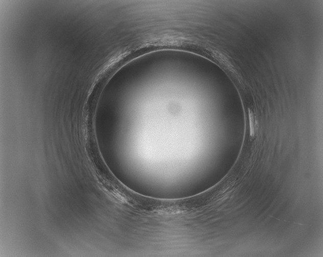 X0000056020675200508191328