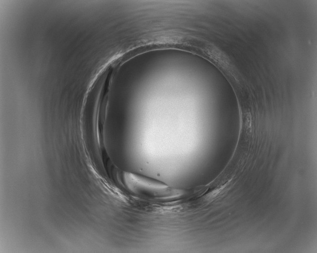 X0000056020676200508191328