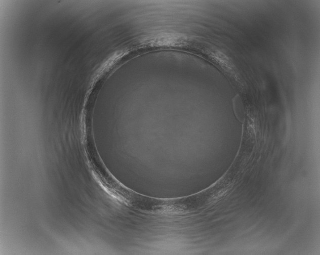 X0000056020678200508191328