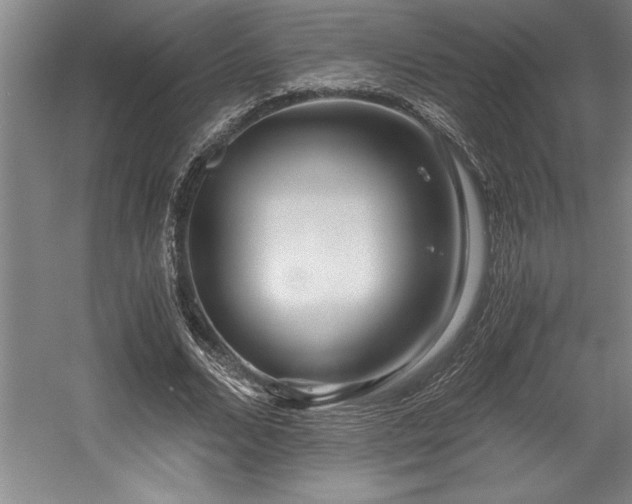 X0000056020680200508191328