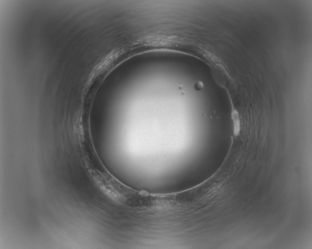 X0000056020682200508191328