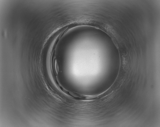 X0000056020684200508191328