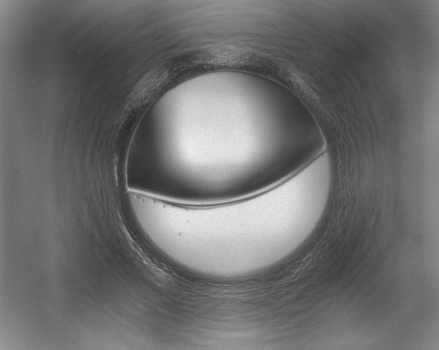 X0000056020685200508191328