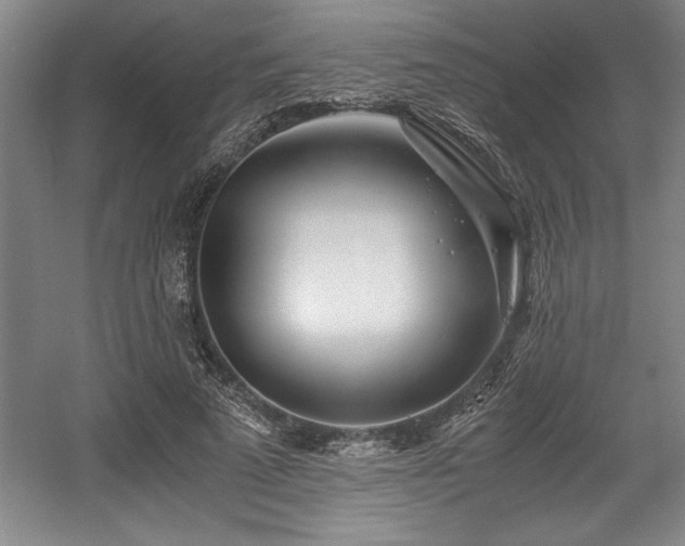 X0000056020689200508191328